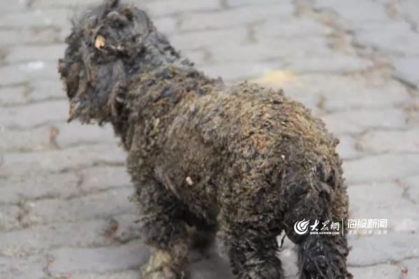 突發(fā)！青島一居民樓發(fā)生爆燃！已造1人死亡，7人受傷！3公里外有震感…